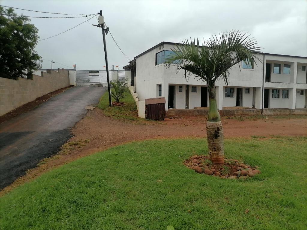 a palm tree in the grass in front of a building at BF Dlamini Guesthouse in Amanzimtoti