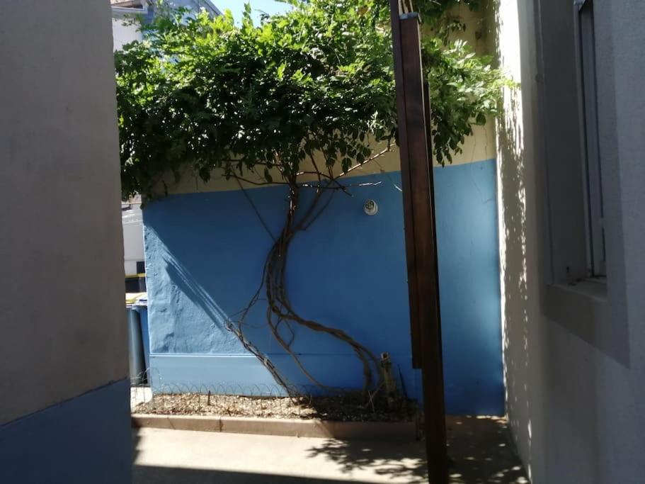 Fotografia z galérie ubytovania 2e étage appartement entier 3 pièces idéal 2 personnes, 2 chambres communiquantes en enfilade, WIFI, espace travail parking gratuit v destinácii Mulhouse