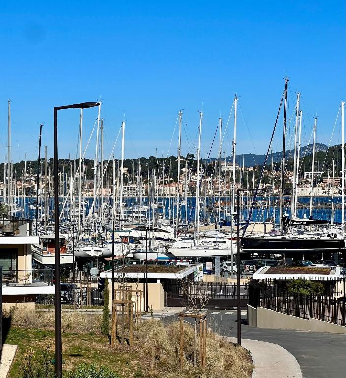 kilka łodzi zaparkowanych na przystani w obiekcie L'apart'83 - T2 classé 5 étoiles - Belle vue sur la baie du Lazaret w mieście Saint-Elme