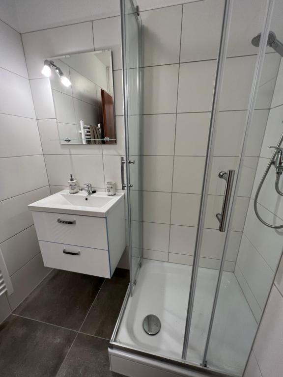 a bathroom with a shower and a sink at Ruheoase am Strand Wassersleben in Harrislee