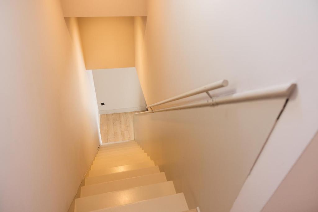 Arrels d'Emporda - 16