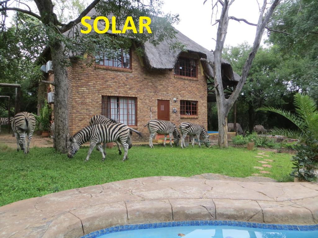 a group of zebras grazing in front of a building at Kruger Safari Animal Encounter in Marloth Park