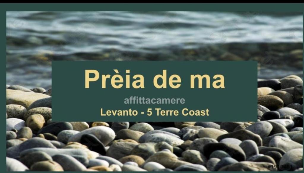 un groupe de rochers sur une plage avec le texte pizza de ma dans l'établissement Preia de ma, à Levanto
