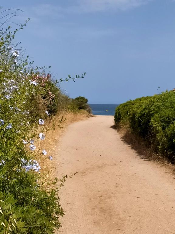 Zdjęcie z galerii obiektu Studio pieds dans l'eau w mieście Calcatoggio