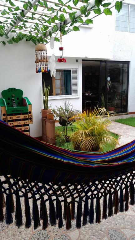 Zahrada ubytování Apartaestudio tipo cabaña