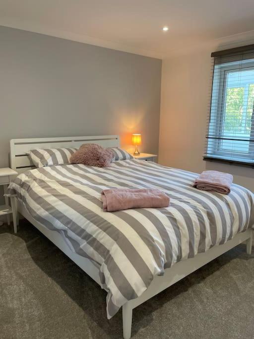 um quarto com uma cama grande com duas almofadas em Sunny Corner - lovely 2 bedroom appt em Redruth