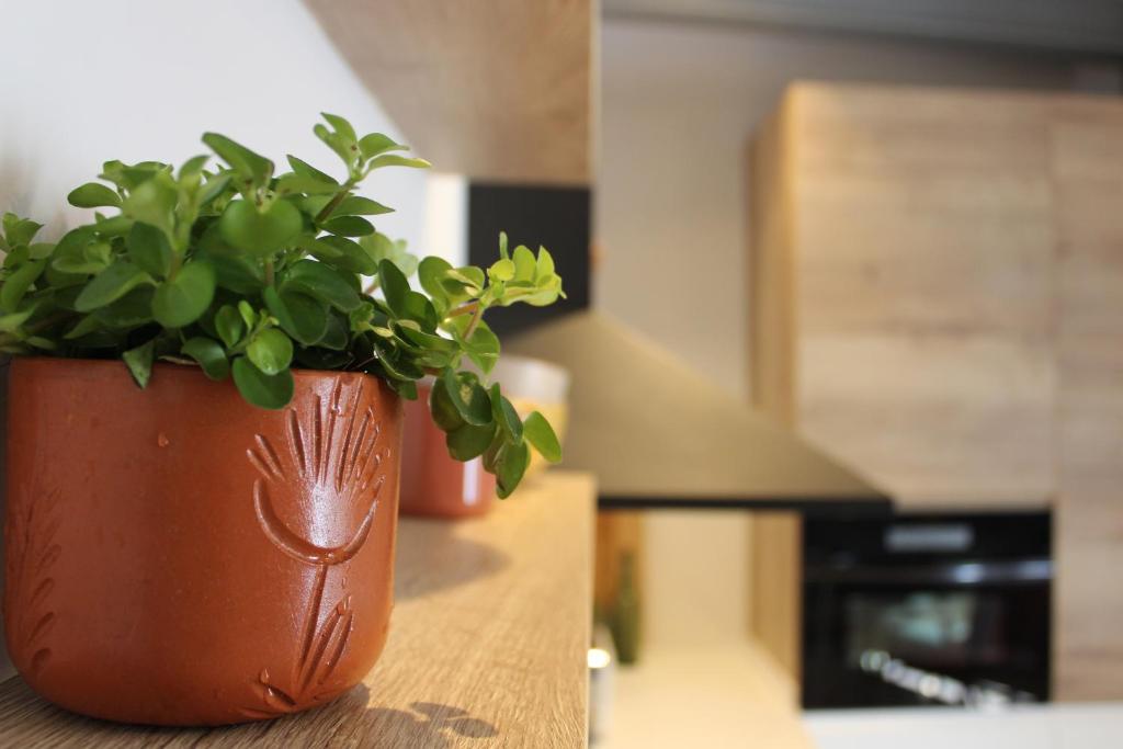 XIMENETXE Vivienda Turística - Casa De Una Habitación
