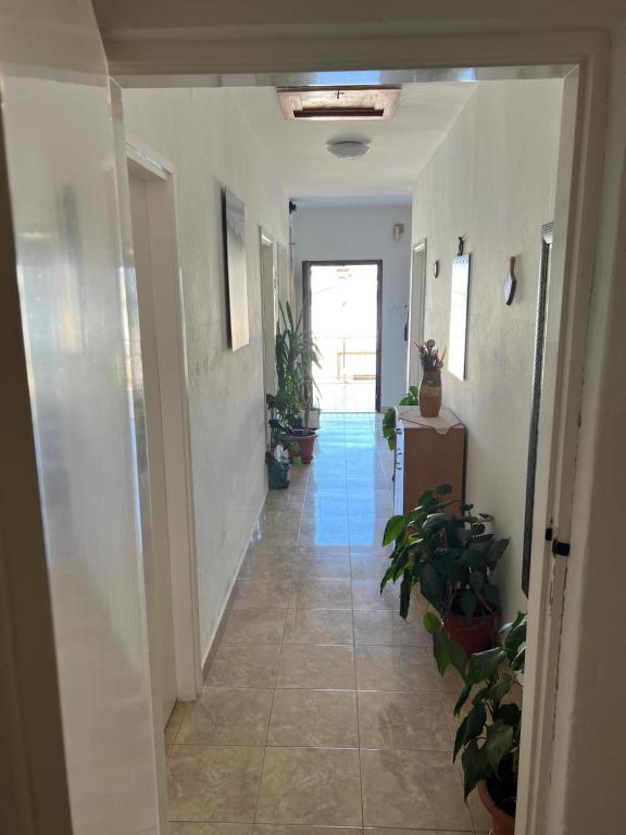 a hallway with potted plants in a building at Apartment Ivanka in Senj