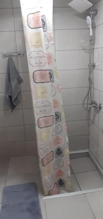 Koupelna v ubytování Tića3