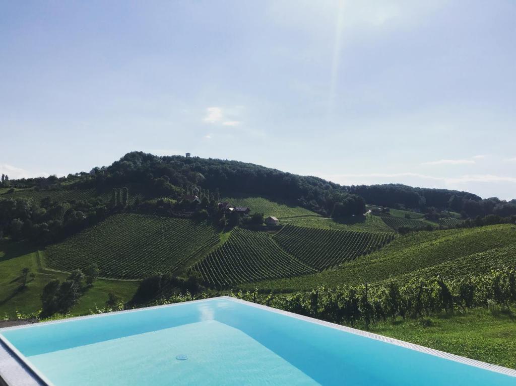 a swimming pool with a view of a vineyard at *BRANDNEW* MODERNES APARTMENT IN DEN WEINBERGEN MIT POOL UND SAUNA in Spielfeld