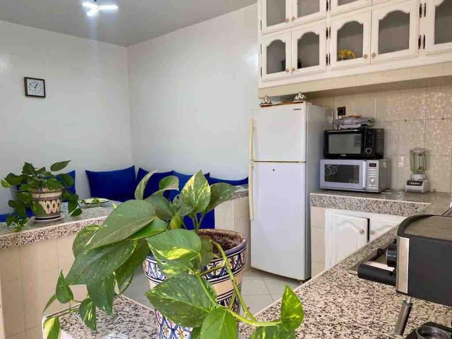 a kitchen with a white refrigerator and a plant at Modern fully equipped two story appartement/duplex in Safi