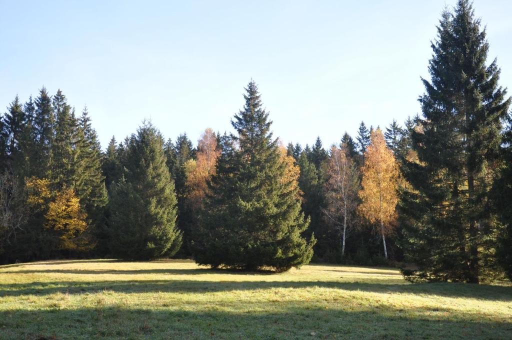 Příroda nedaleko apartmánu