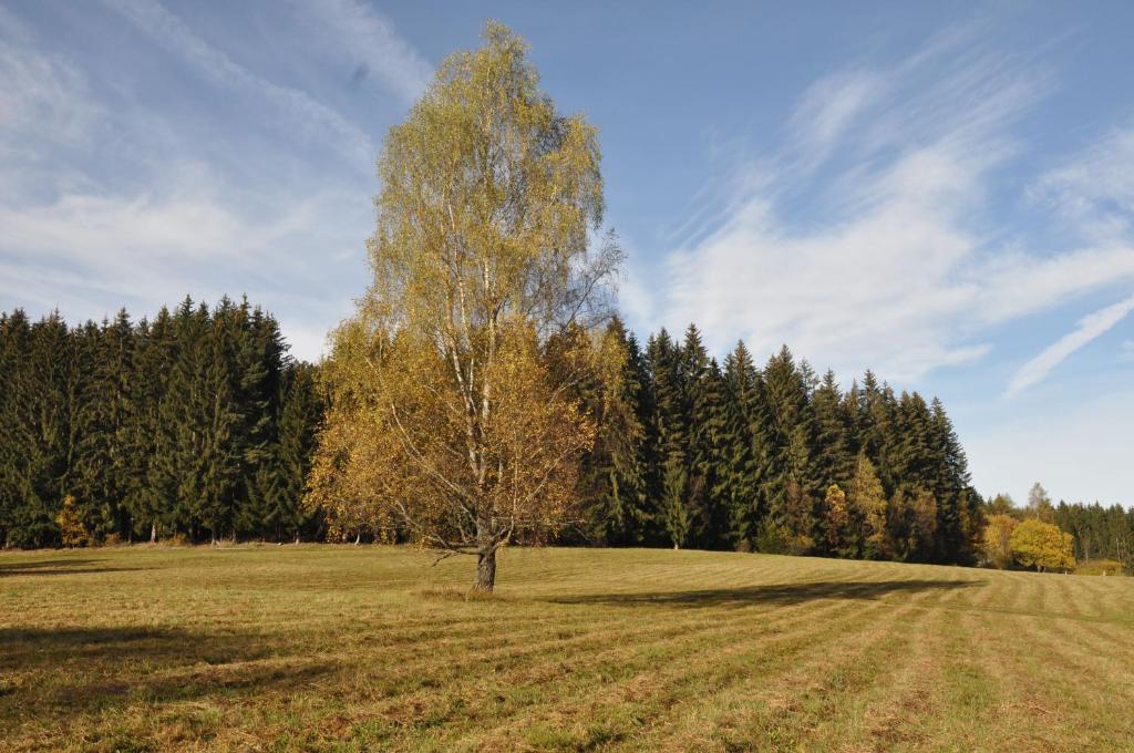 Příroda nedaleko apartmánu