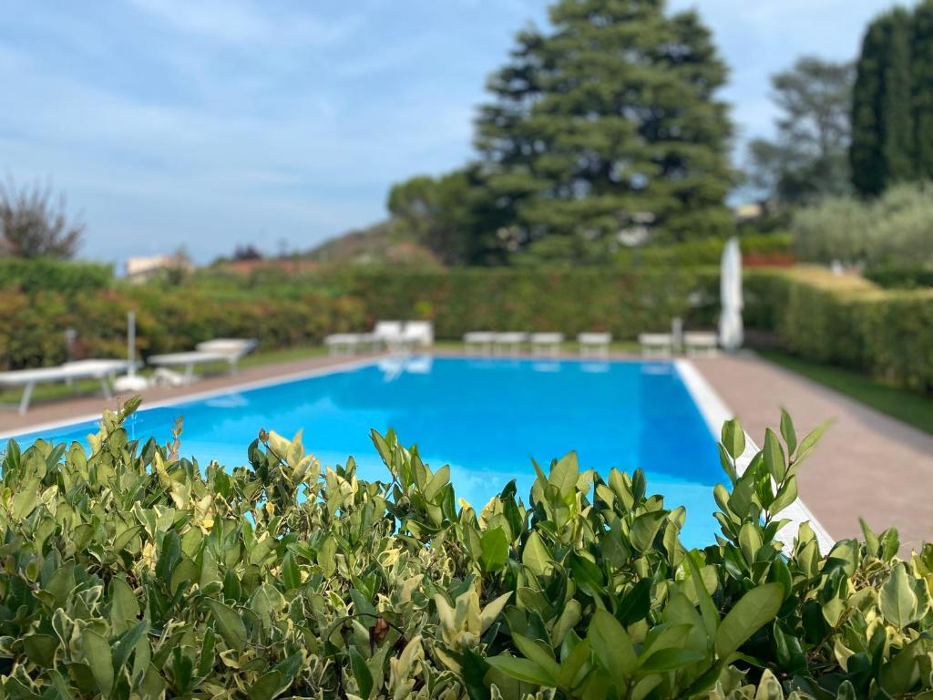 The swimming pool at or close to Valentina’s home