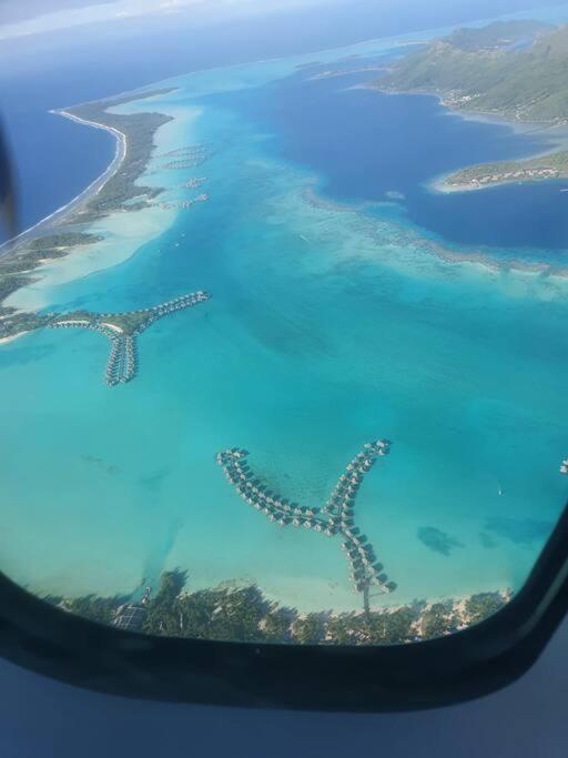Belle vue côté mer sur l'arrivé des paquebots, - photo 9 - Tahiti, Polynésie