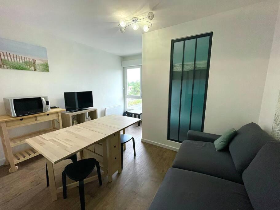 Televízia a/alebo spoločenská miestnosť v ubytovaní Studio Bords de plage