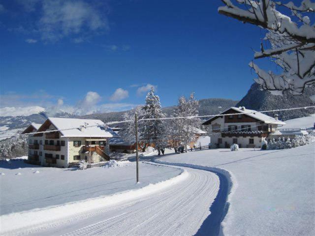 een met sneeuw bedekte straat met twee huizen en een weg bij Hof Zerund in Castelrotto