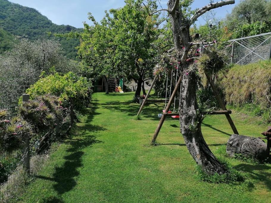 a garden with a tree and a swing at Casa Andreina in Salto