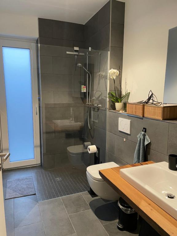een badkamer met een douche, een toilet en een wastafel bij Feriendomizil Möhne mit Seeblick und Sauna in Möhnesee