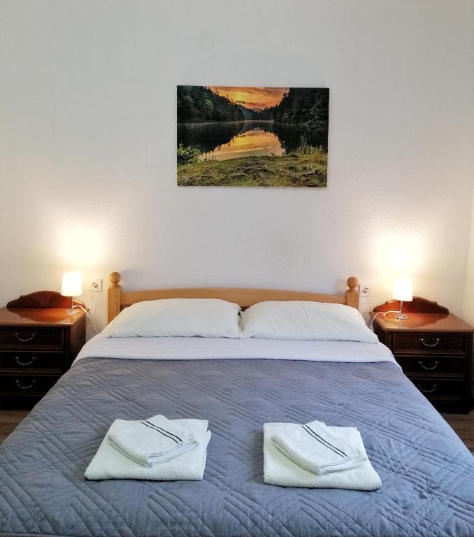 Guest House Končar - 13