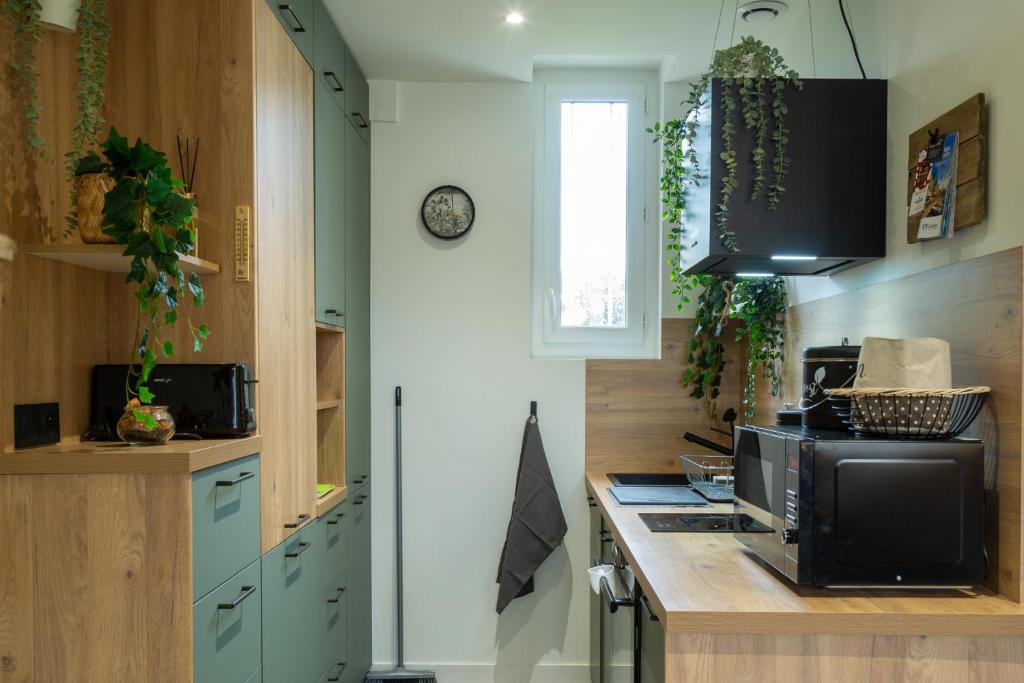 Kuchnia lub aneks kuchenny w obiekcie SUITE JUNGLE - JARDIN, NETFLIX et PARKING - Le Manoir aux Pommes