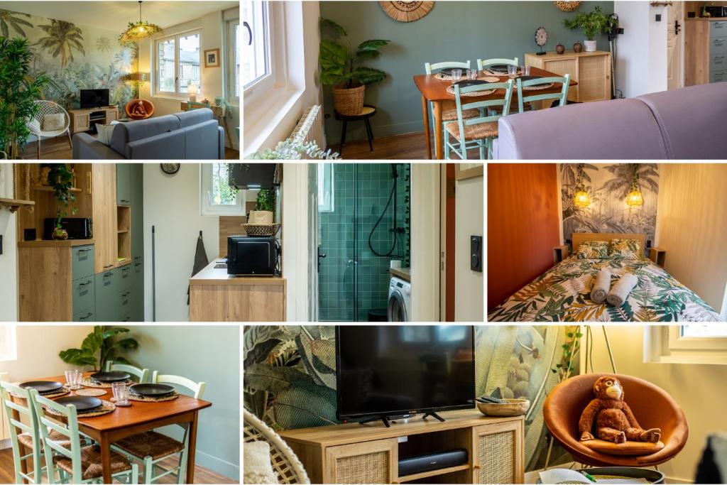 kolaż zdjęć kuchni i salonu w obiekcie SUITE JUNGLE - JARDIN, NETFLIX et PARKING - Le Manoir aux Pommes w mieście Orbec-en-Auge