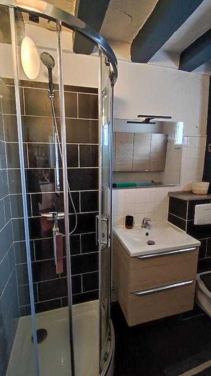 a bathroom with a shower and a sink at La Chaumière de Chaumont in Chaumont-sur-Loire