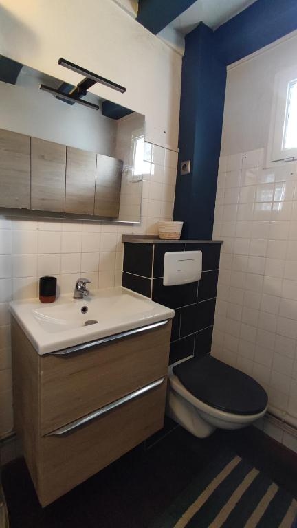 a small bathroom with a toilet and a sink at La Chaumière de Chaumont in Chaumont-sur-Loire