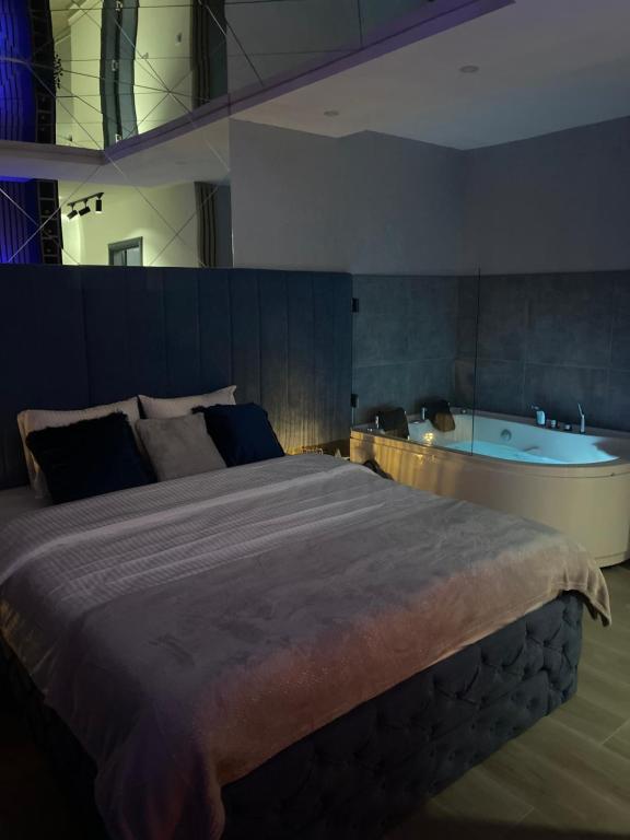 a bedroom with a large bed and a bath tub at SpaNish apartman in Niš
