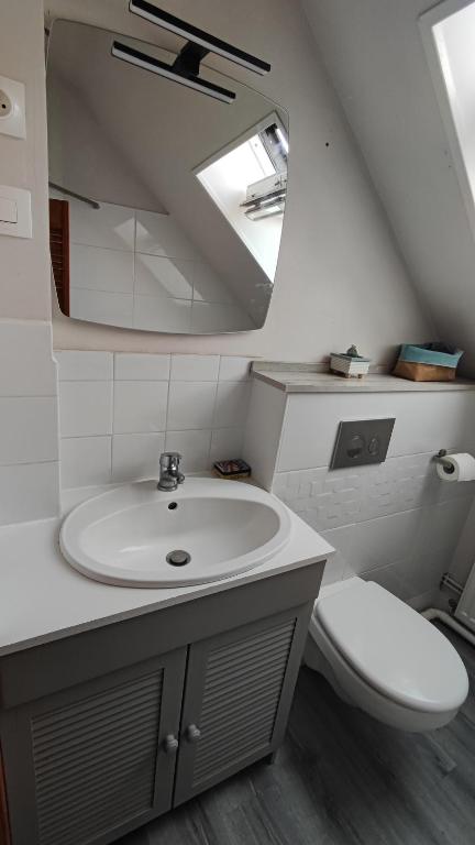 a bathroom with a sink and a toilet and a mirror at La Chaumière de Chaumont in Chaumont-sur-Loire