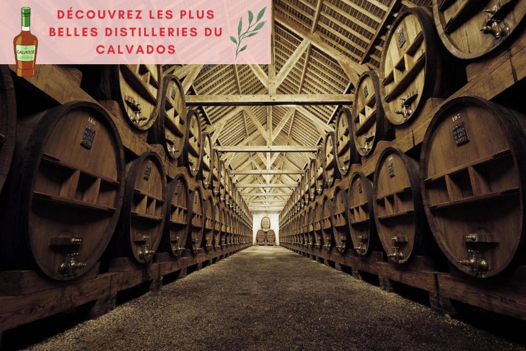 Certyfikat, podpis lub inny dokument wystawiony w obiekcie SUITE JUNGLE - JARDIN, NETFLIX et PARKING - Le Manoir aux Pommes
