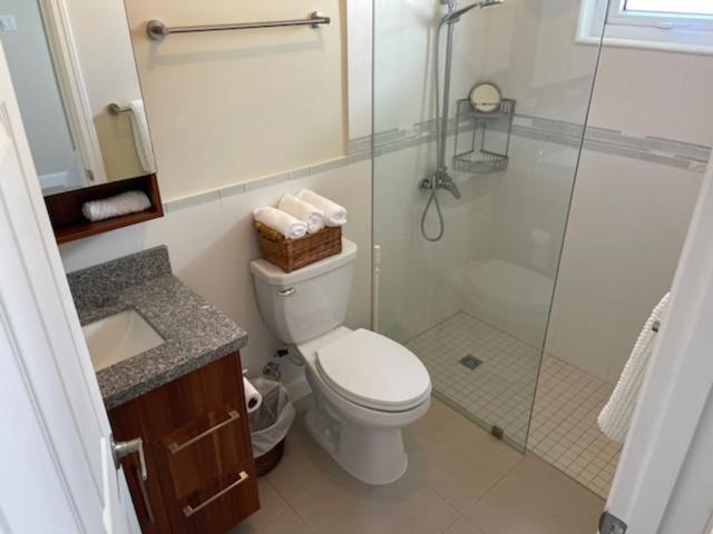 a bathroom with a toilet and a glass shower at Starr & Adams Caribbean Oasis in Point