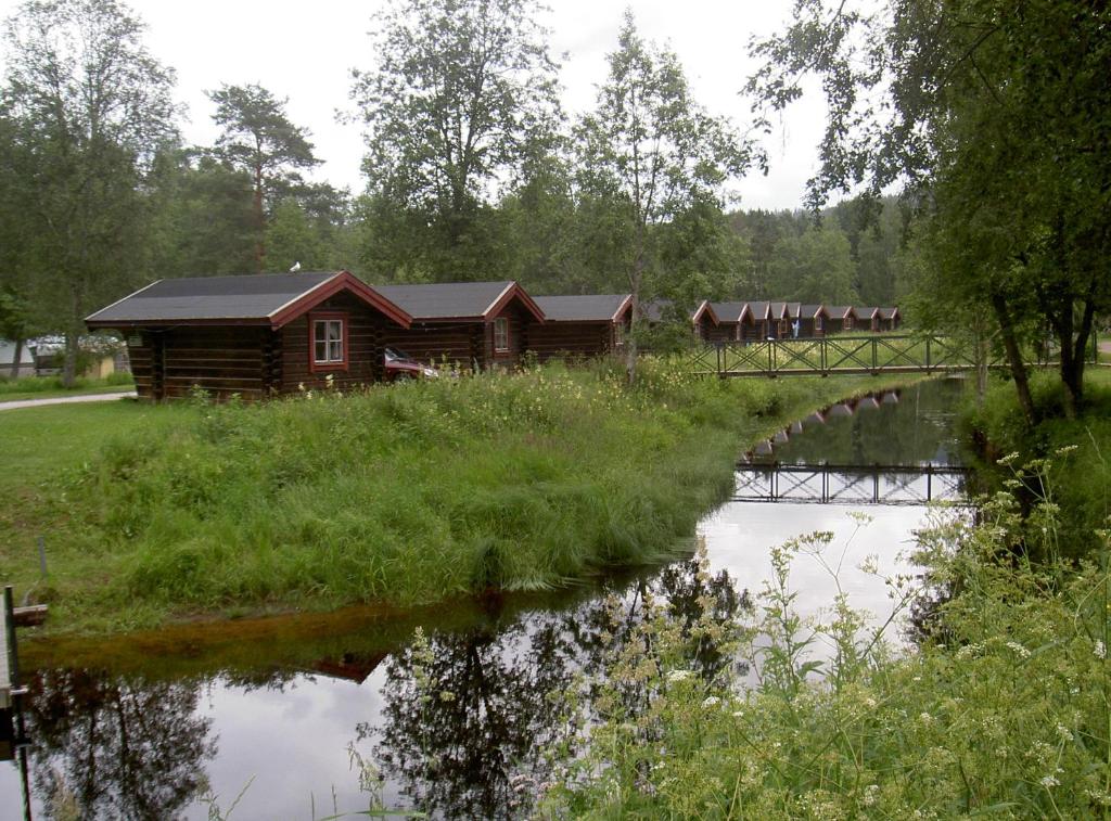 Příroda nedaleko kempu