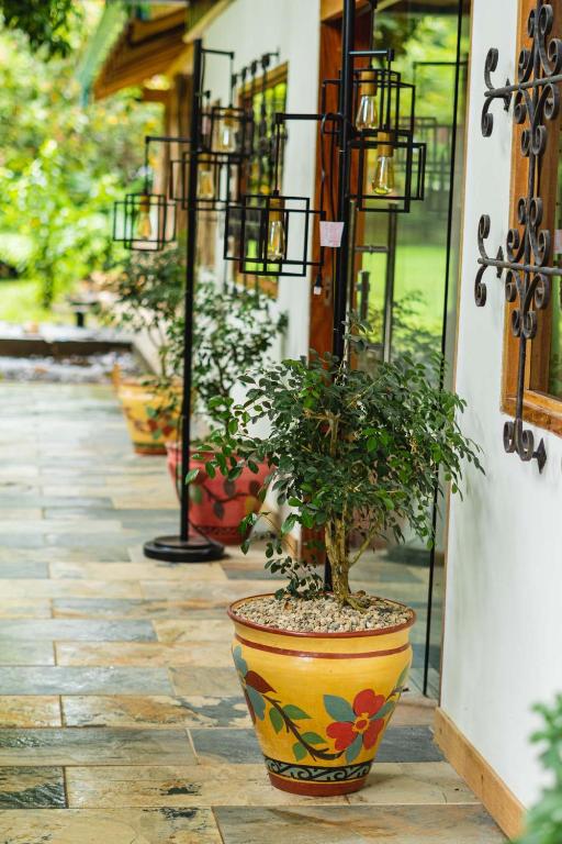 Zahrada ubytování Hacienda La Norma Boho Boutique Hotel