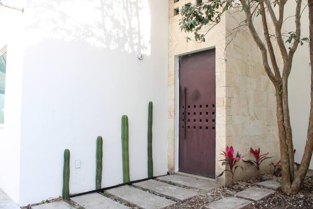 een deur naar een gebouw met een boom ernaast bij Casa Colibri Oaxaca in Santa María Azompa