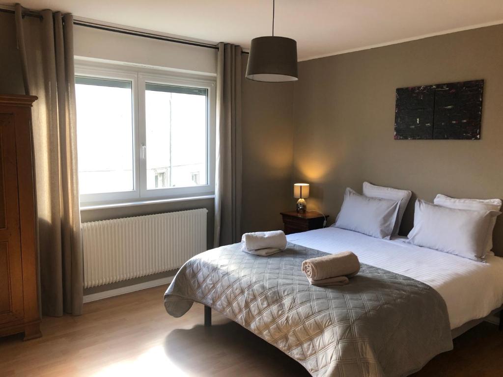 科爾馬的住宿－Appartement l'œil de Colmar，一间卧室配有一张床,上面有两条毛巾