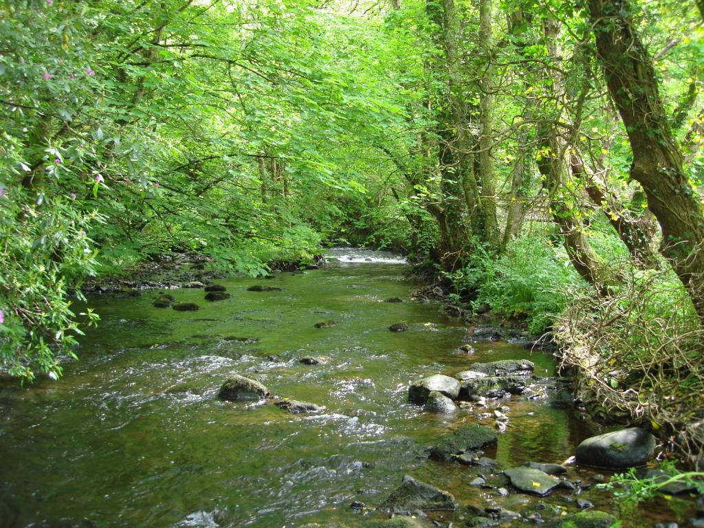 Paesaggio naturale nelle vicinanze dell'affittacamere