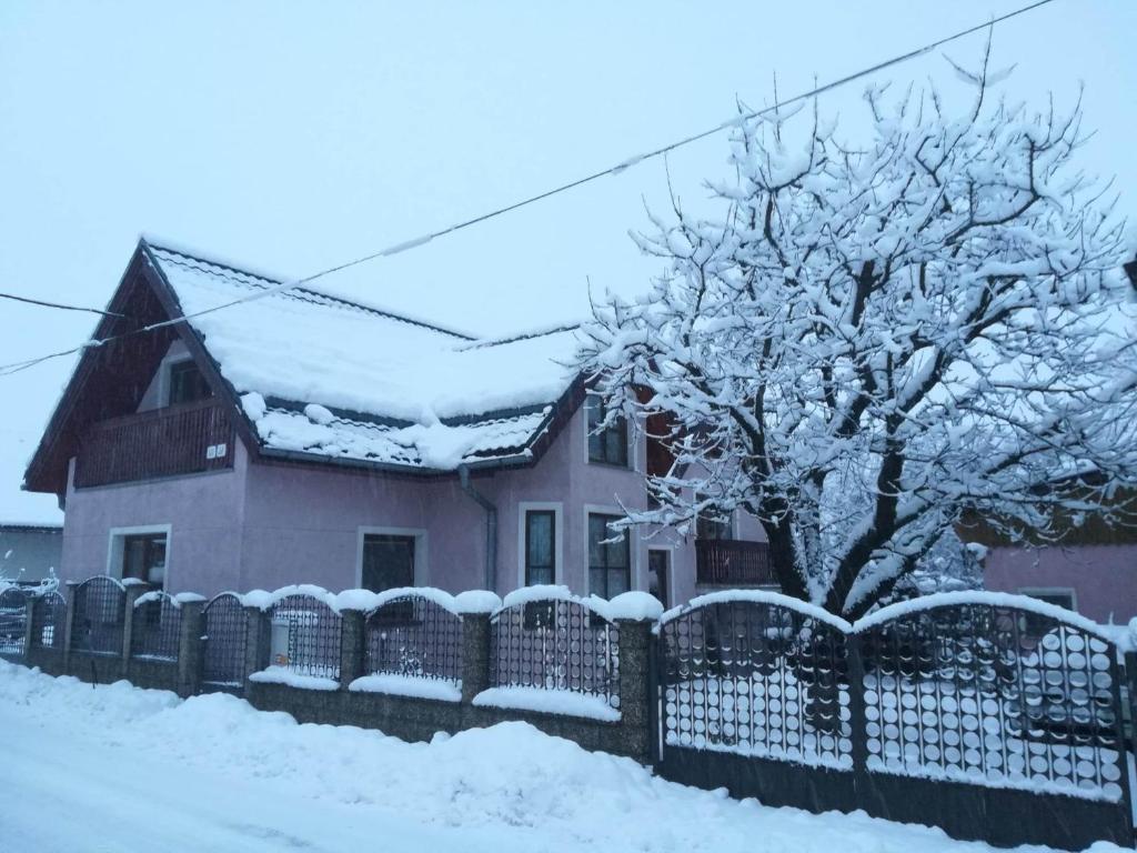 a house with a fence and a tree covered in snow at Privát Erika in Liptovský Ján
