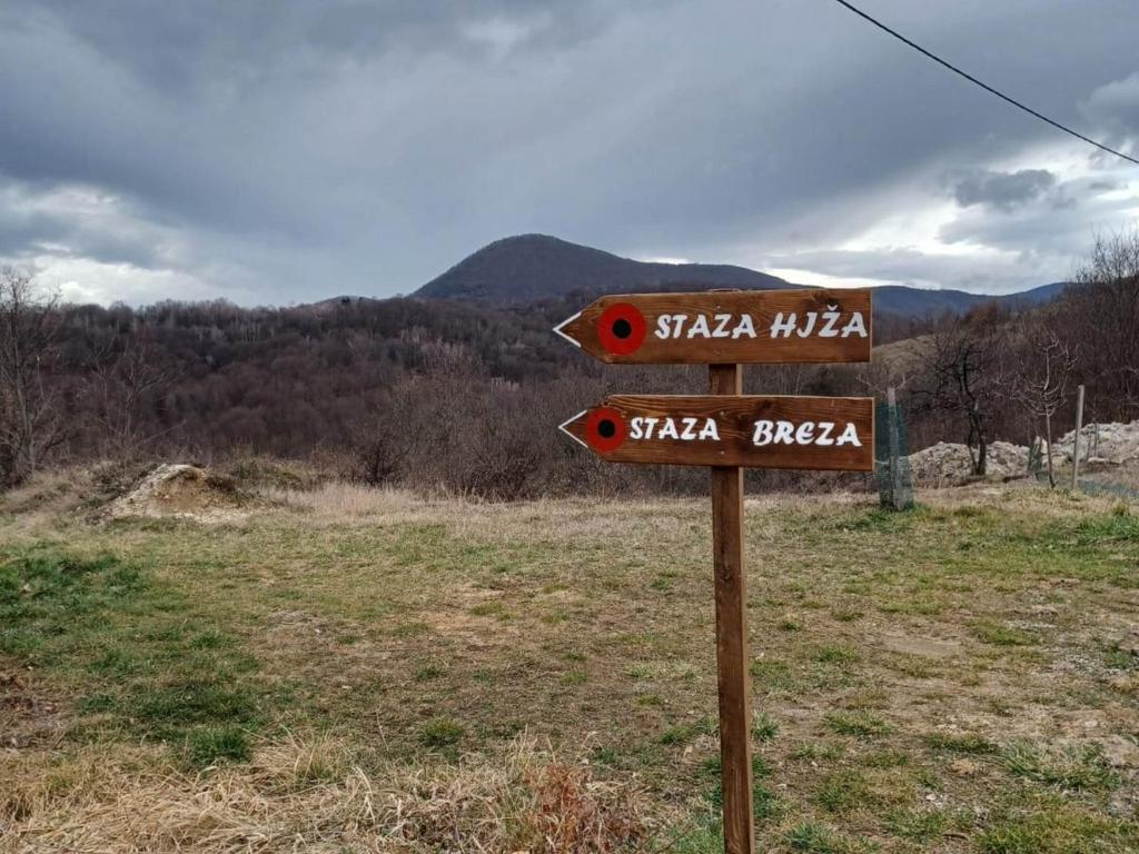 Príroda v okolí horskej chaty