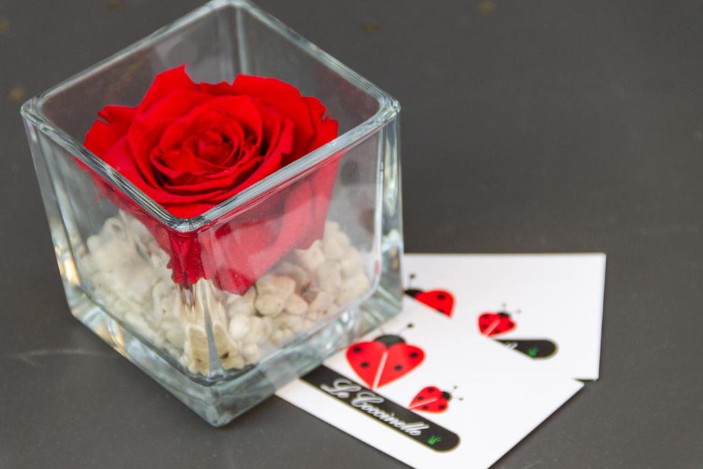 a glass vase with a red rose in it at Le Coccinelle Home in Mandello del Lario