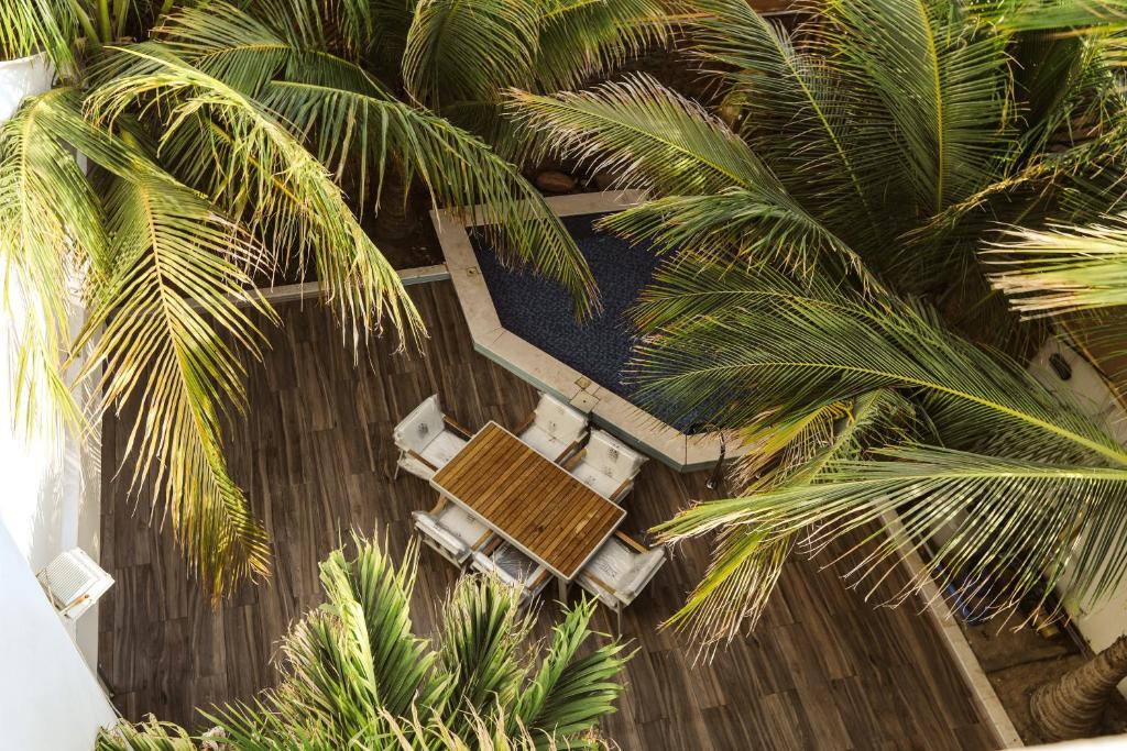 uma vista superior para uma piscina e palmeiras em ريفان لبيوت الضيافة خاصة em Iambo