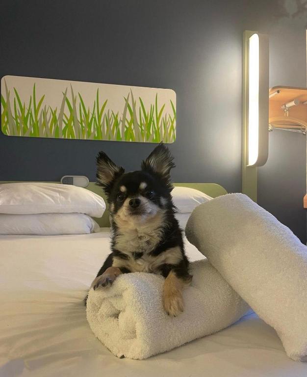 ibis budget Belfast City Centre - Resim 33