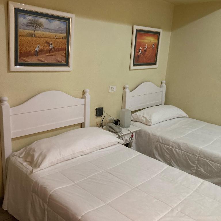 Postel nebo postele na pokoji v ubytování Hotel Tanausu