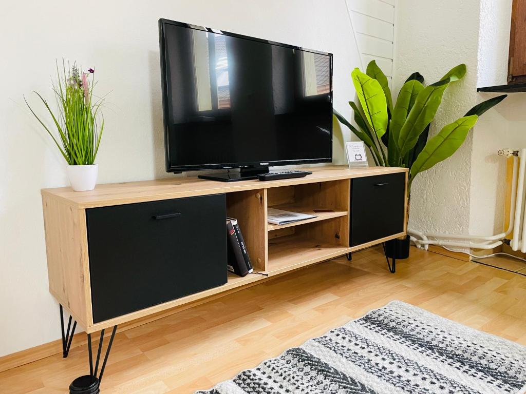 een televisie op een houten standaard in een woonkamer bij Ferienwohnung Hotel Glockenhof in Eltville