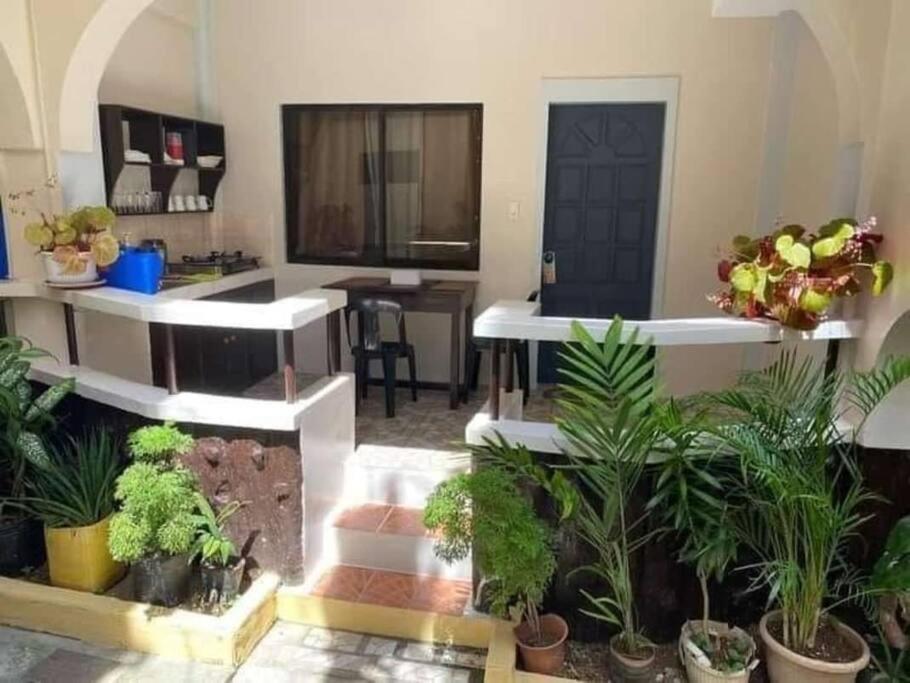 una sala de estar con un montón de plantas. en Tara staycation unit, en Boracay