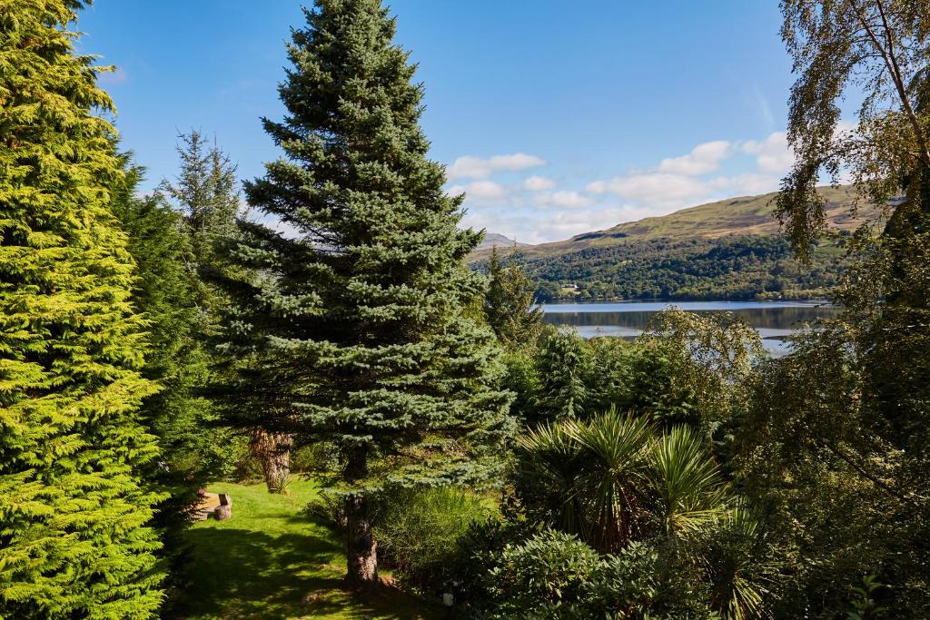 MorenishにあるLOCH TAY HIGHLAND LODGES and GLAMPING PARKの木々と湖の景色