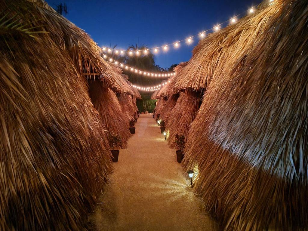 Fotografie z fotogalerie ubytování Hakuna Matata Glamping v destinaci Bacalar