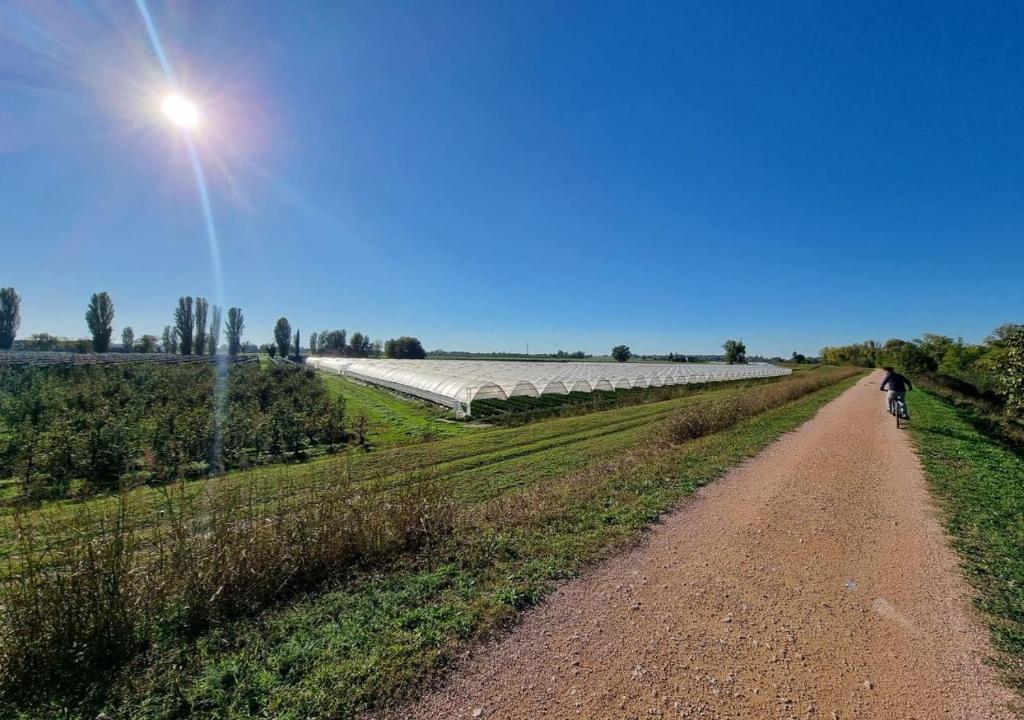 Příroda nedaleko apartmánu