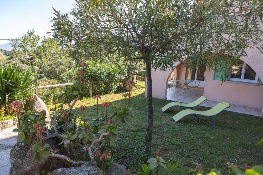 Сад в Appartement T2 rez de villa