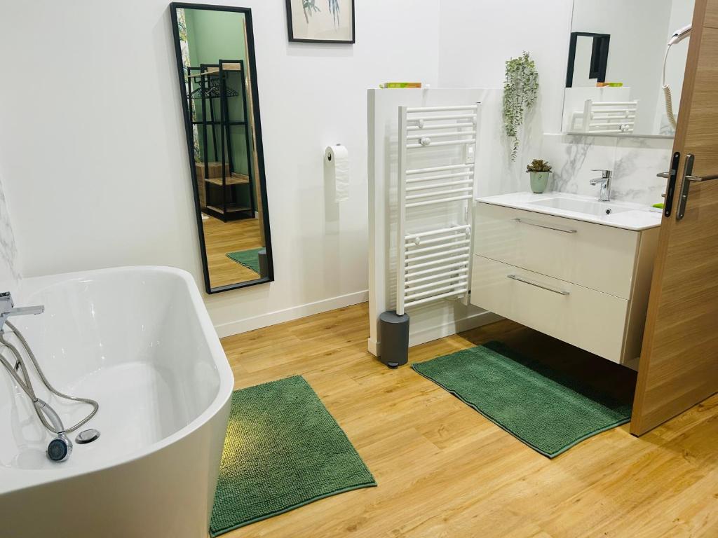 Kúpeľňa v ubytovaní Magnifique Appartement l'Aigrette